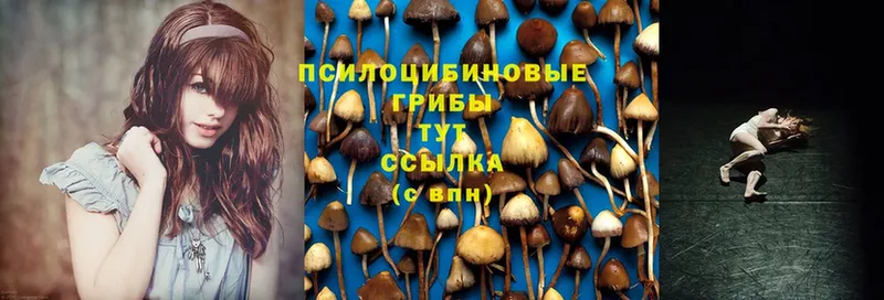 Галлюциногенные грибы MAGIC MUSHROOMS  гидра онион  Кстово 